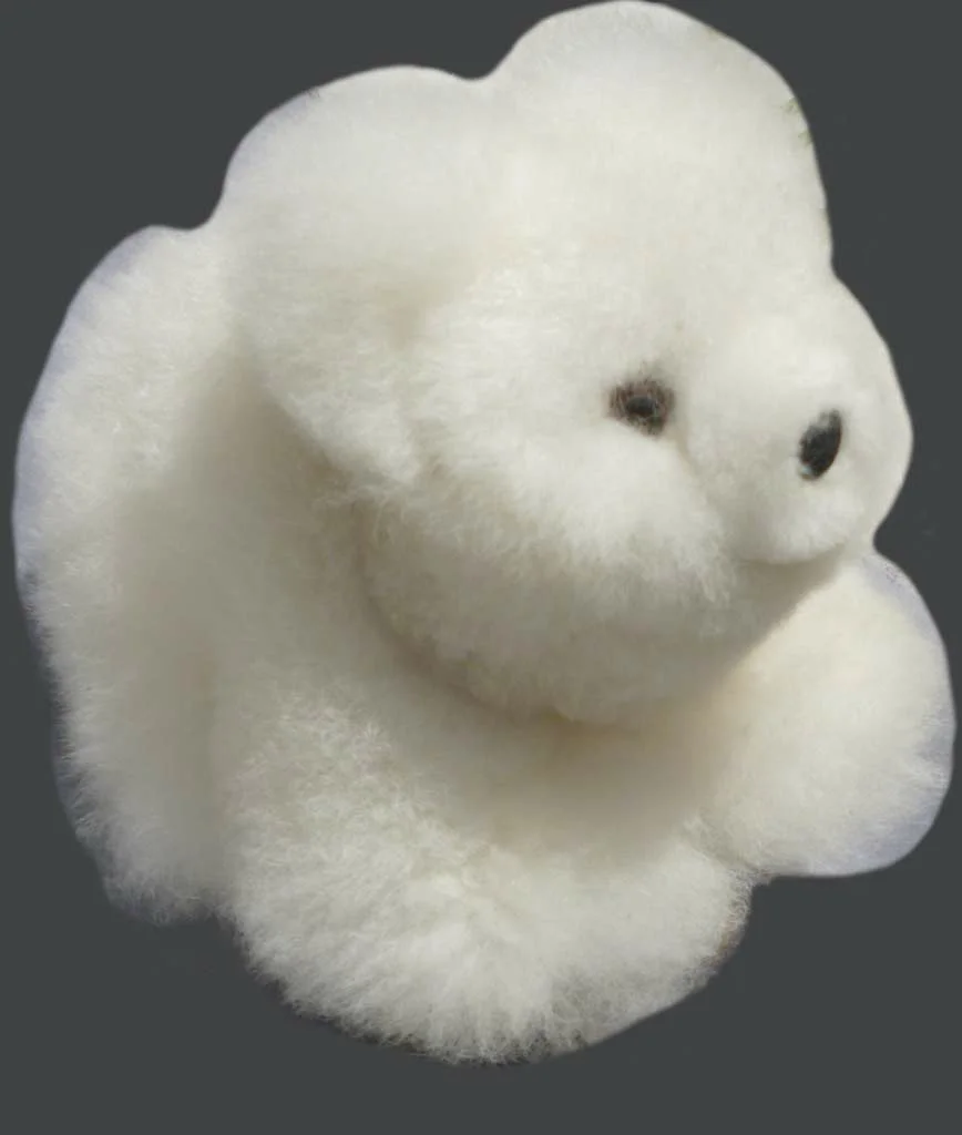 Special Alpaca Teddy Bear