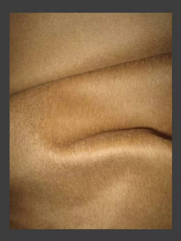 Baby Alpaca Suri Fabric