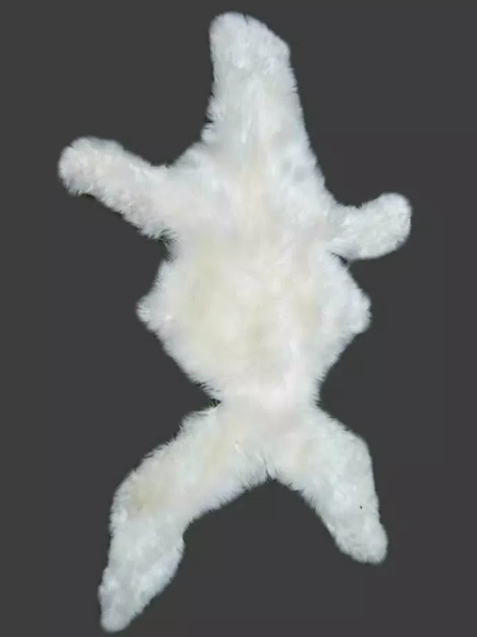 Fine Baby Alpaca Hide