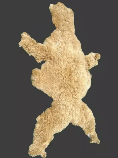 Soft Dyed Young Alpaca Hides d12