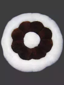 Baby Alpaca Fur Pillow Case