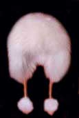 Softness Baby Alpaca Fur Hat