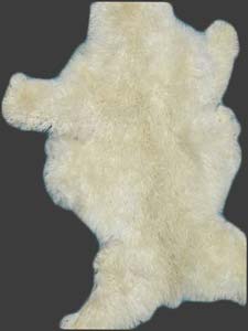Young Alpaca Tanned Hide