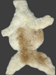 Raw Material Alpaca Young Hide